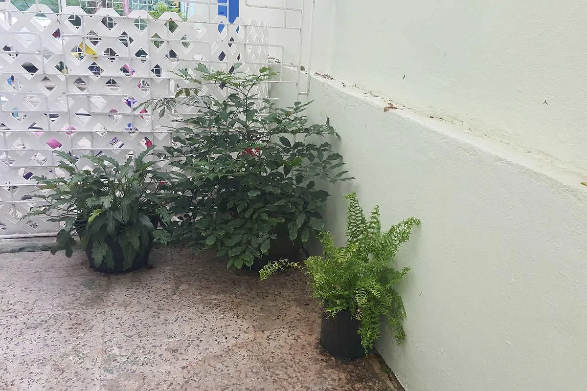 Maison d'hôtes Alondra San Juan Apartments Porto Rico